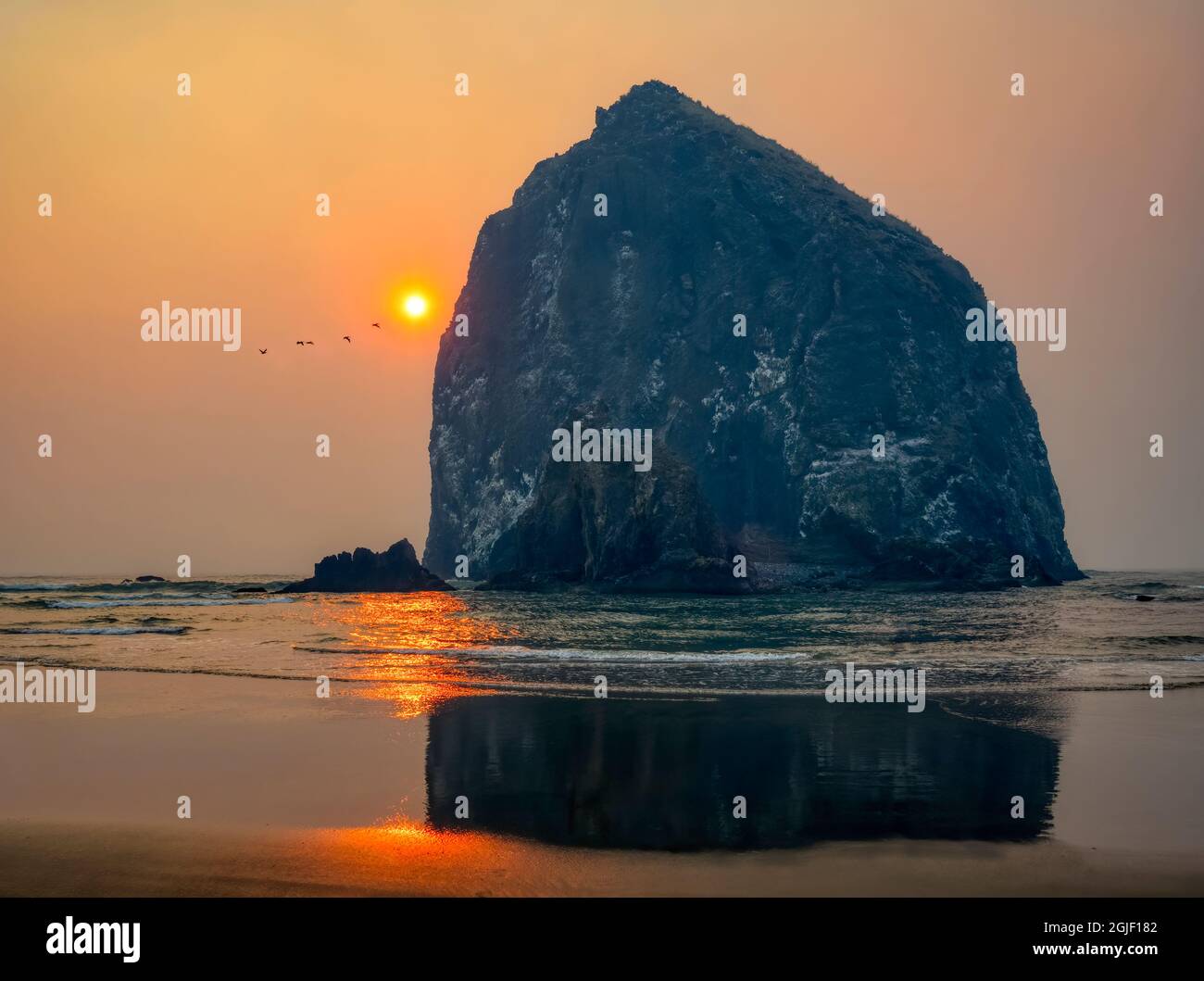 Rock flying coast hi-res stock photography and images - Alamy