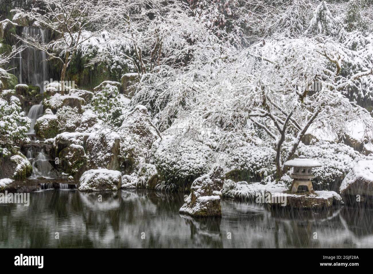Portland, Oregon. Heavenly Falls and koi pond in snowstorm, Portland ...