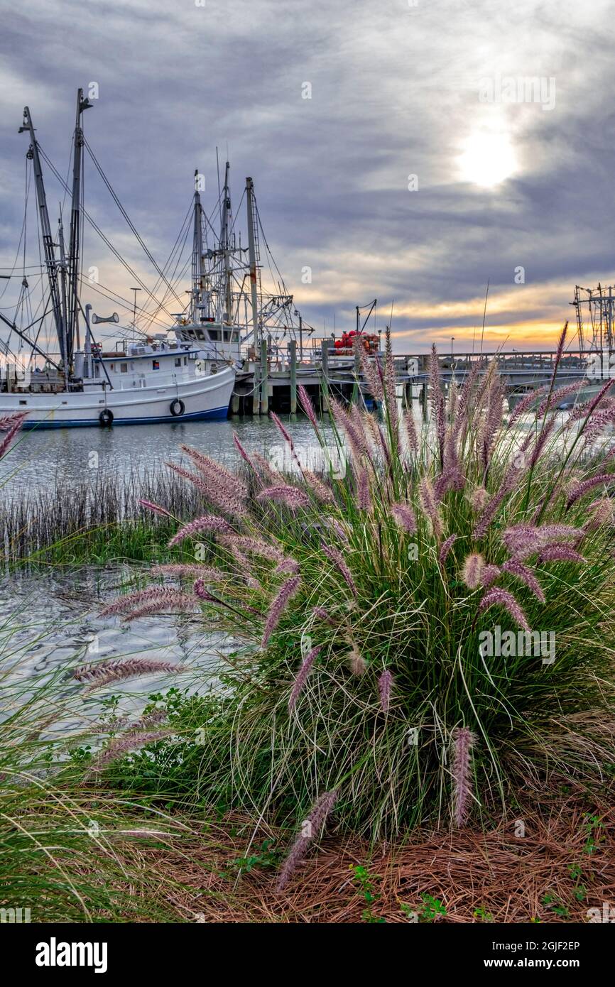 Fishing boats on Port Royal Sound, Port Royal, South Carolina Stock Photo Alamy