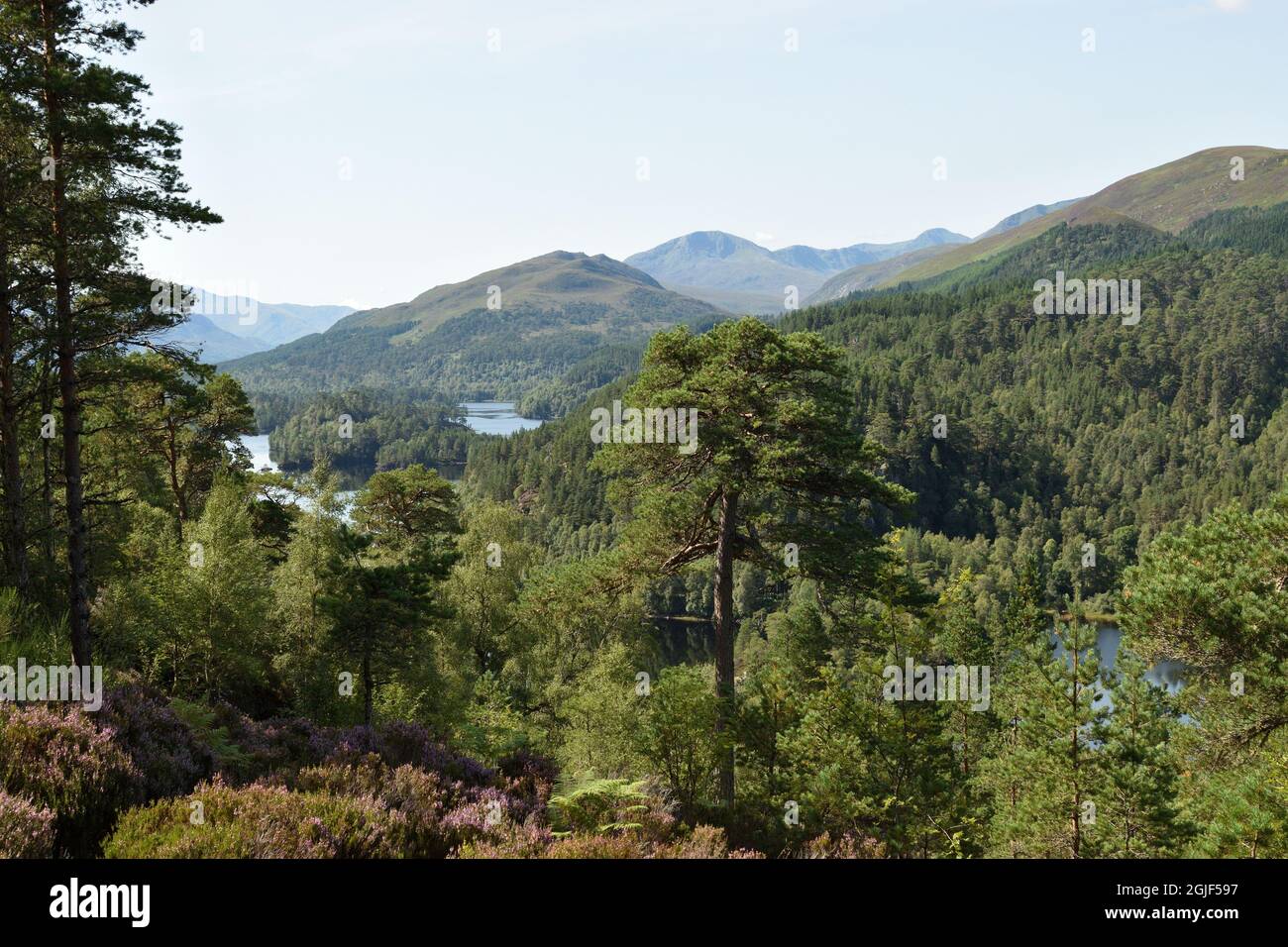 Glen Affric from the viewpoint on the Affric Kintail Way above Loch Beinn a Mheadhoin. Highlands, Scotland, UK. Stock Photo