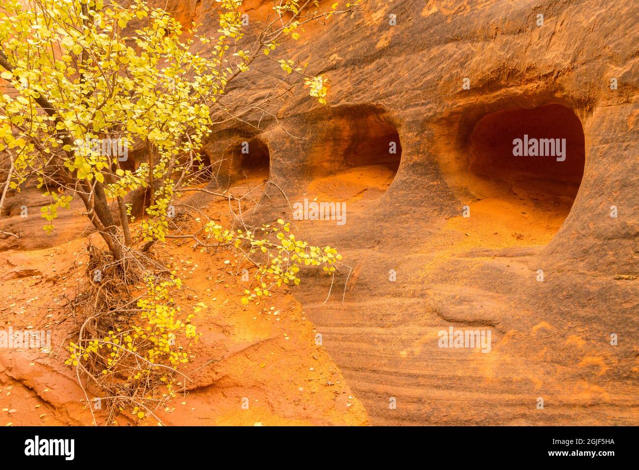 Holes in rock face hi-res stock photography and images - Alamy