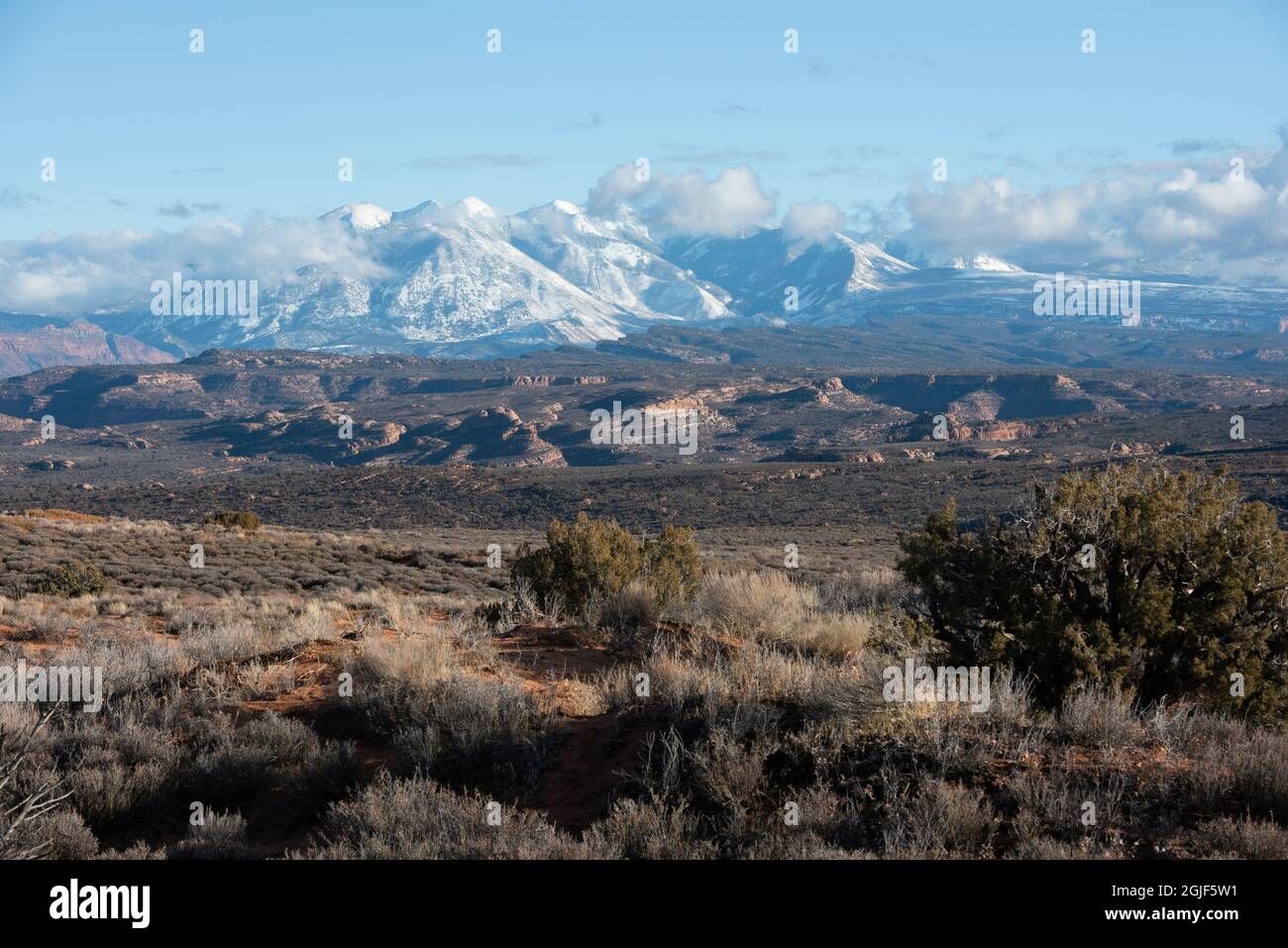 La Sal Mountains, La Sal Range, Arches National Park, Moab, Utah, USA Stock Photo
