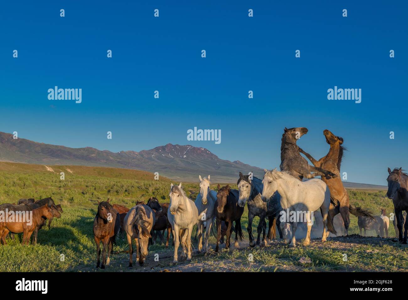 Competition bureau hires stock photography and images Alamy