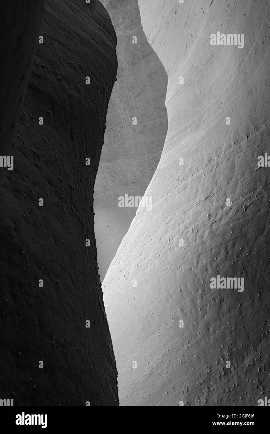 USA, Utah. Grand Staircase-Escalante National Monument, Spooky Gulch. Stock Photo