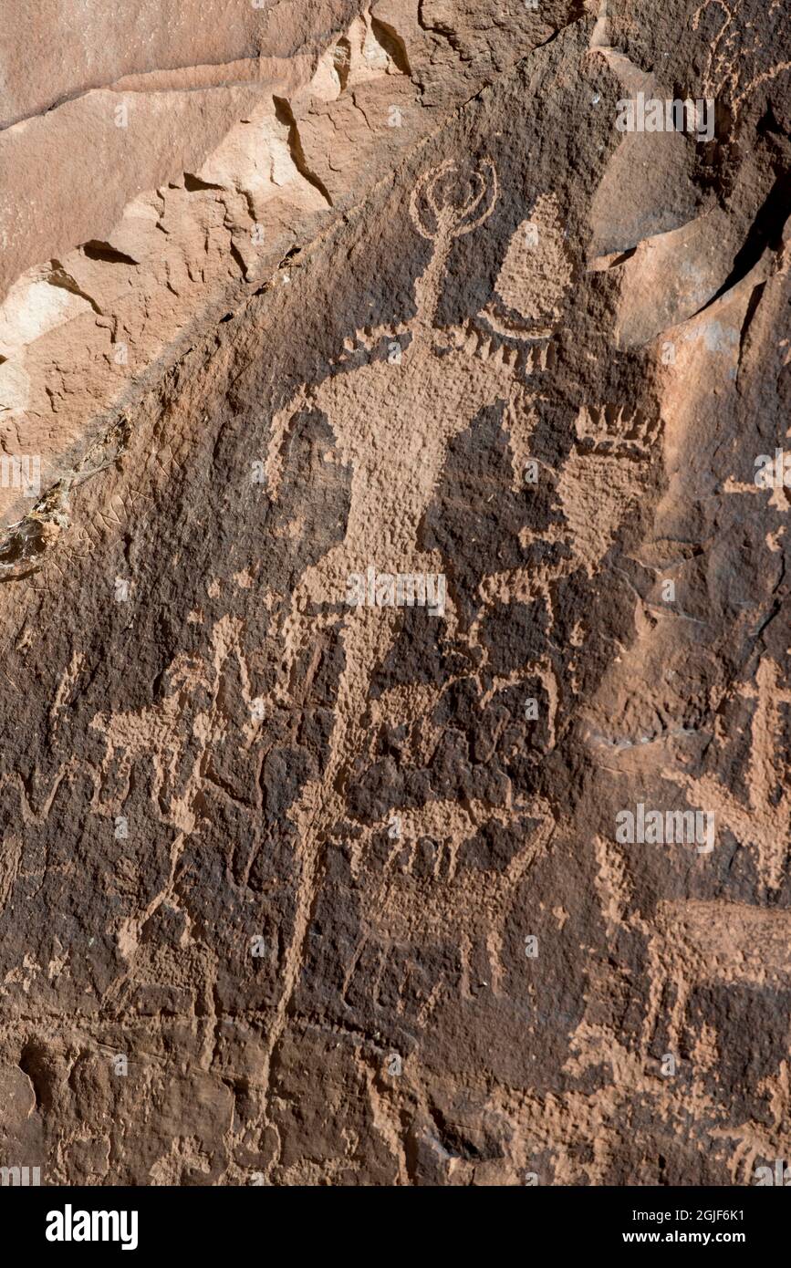 USA, Utah. Ancient petroglyphs, Newspaper Rock, Indian Creek Canyon, Bears Ears National Monument. Stock Photo