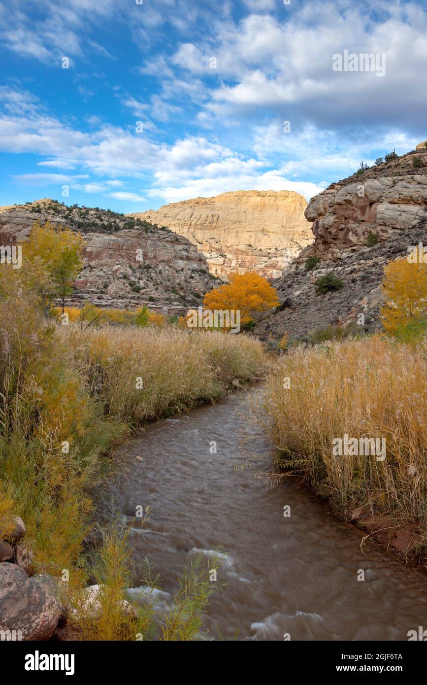 USA, Utah. Fremont River flowing through Capital Reef National Park ...