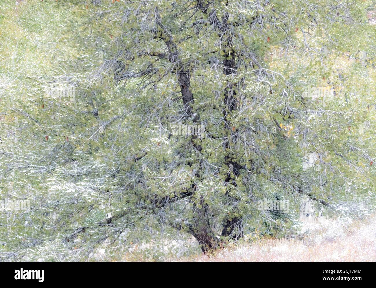 Curtis creek road hires stock photography and images Alamy