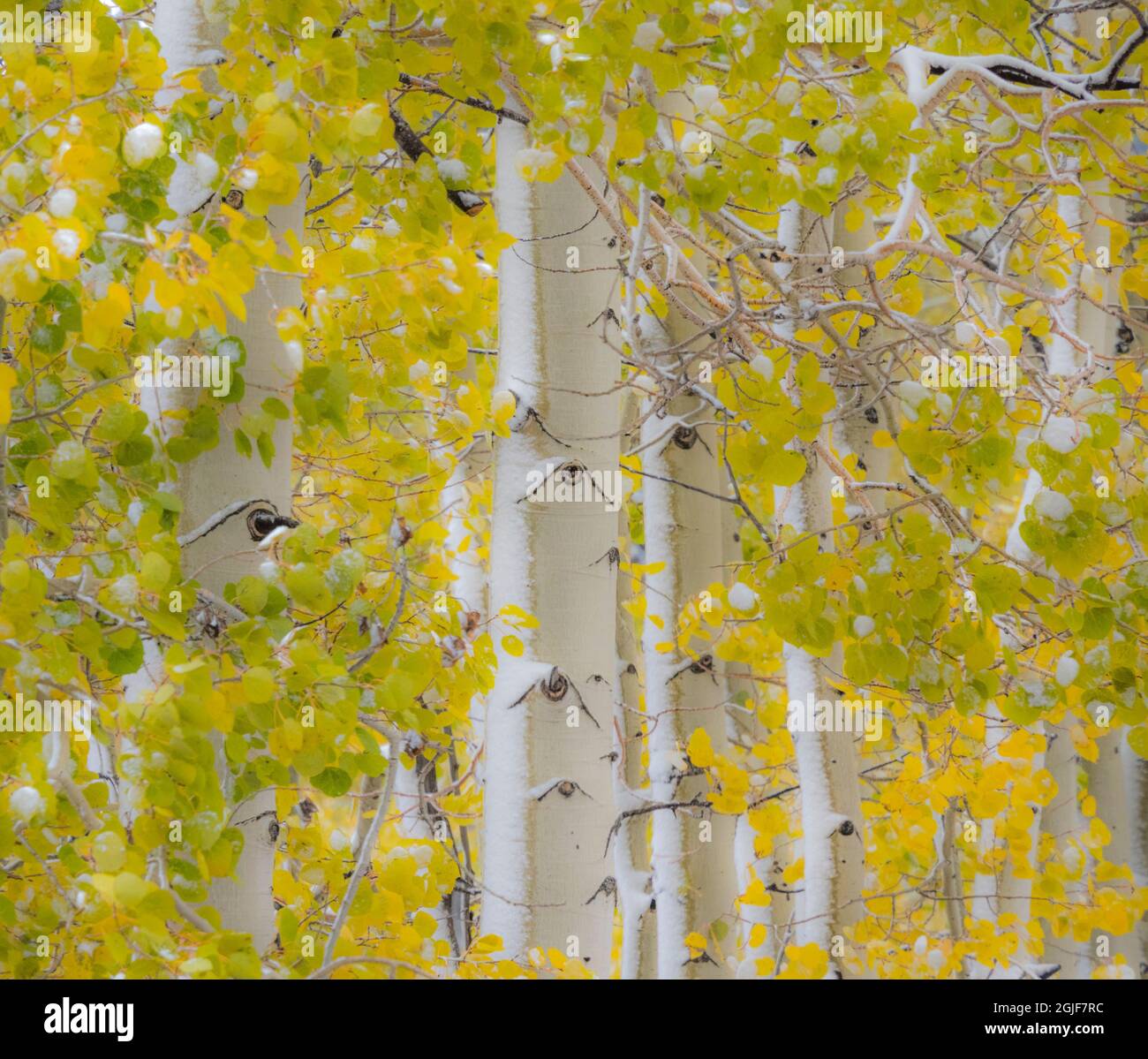 Curtis creek road hires stock photography and images Alamy
