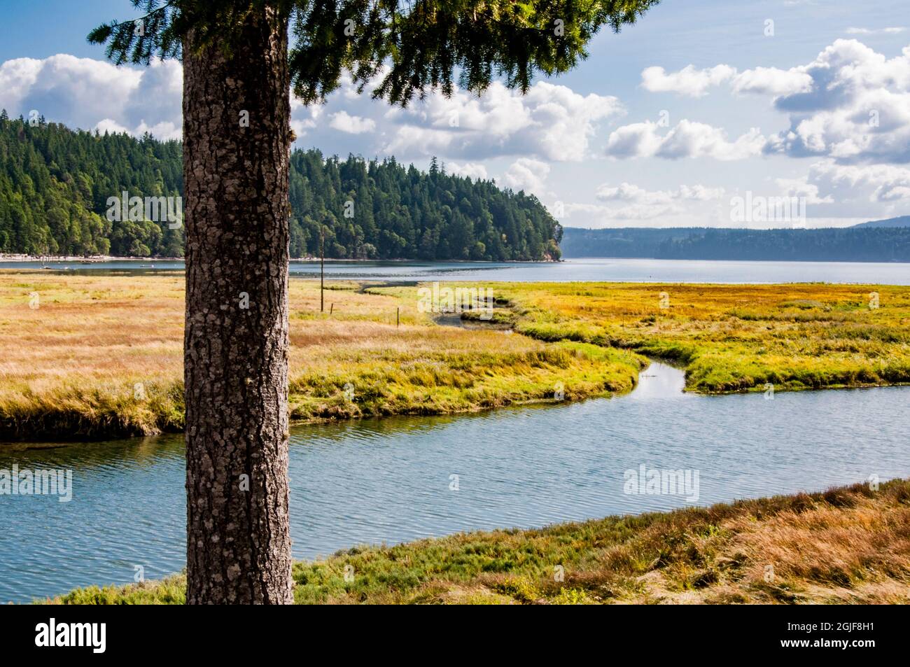 USA, Washington State. Hood Canal wetlands Stock Photo Alamy