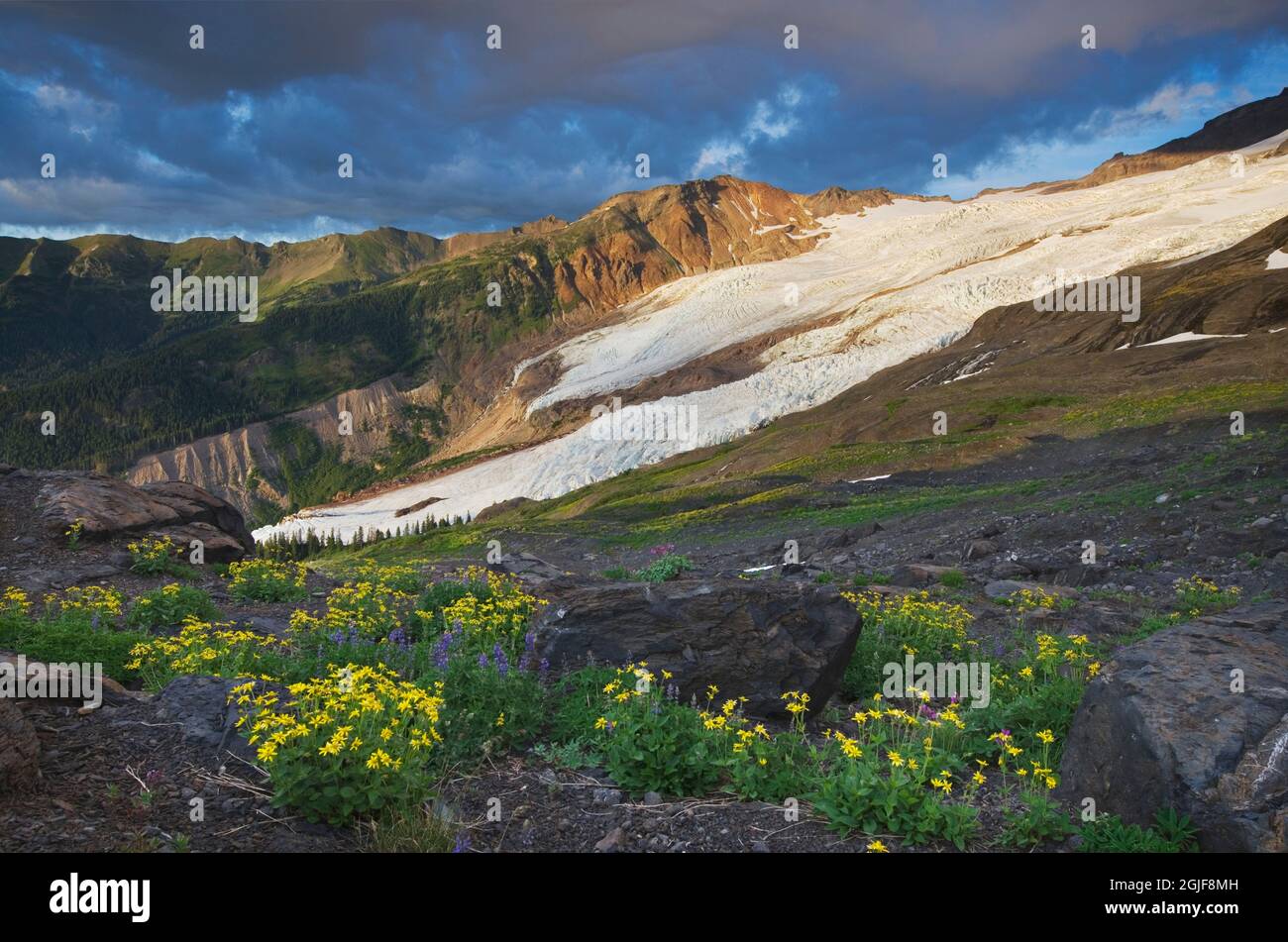 USA, Washington State. Bastille Ridge and Coleman Glacier from meadows ...
