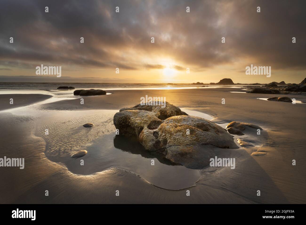 Kalaloch Beach sunset, Olympic National Park, Washington State Stock ...