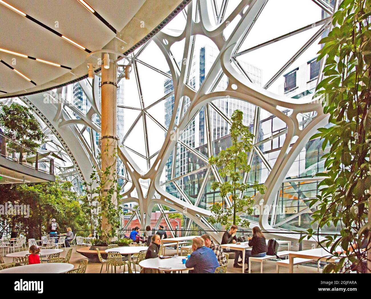 Usa Washington State Seattle A View From Inside Of The Amazon Spheres Editorial Use Only Stock Photo Alamy