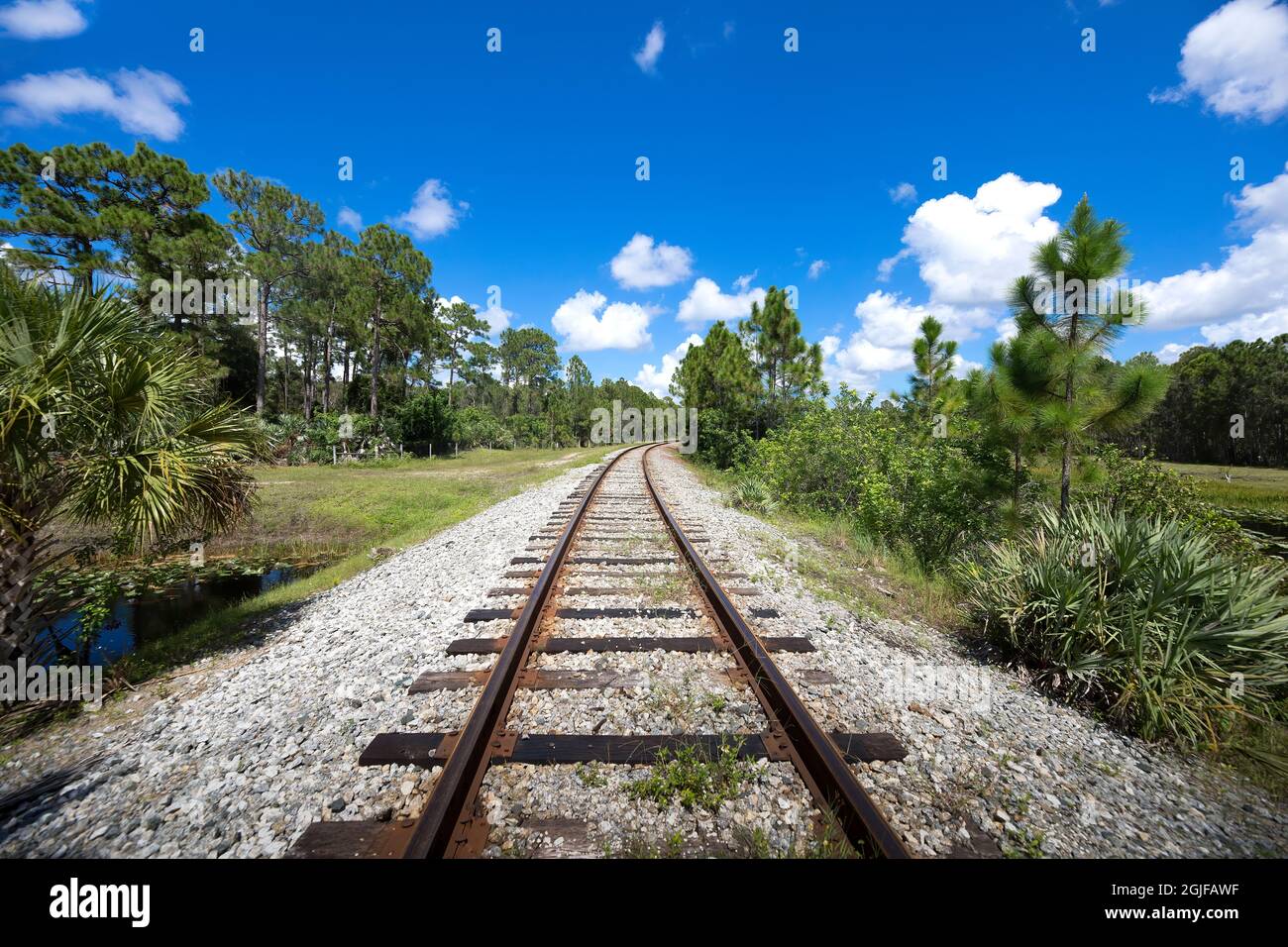 Railroad tracks lead off into the distance before disappearing behind trees in a rural area of Central Florida. Stock Photo
