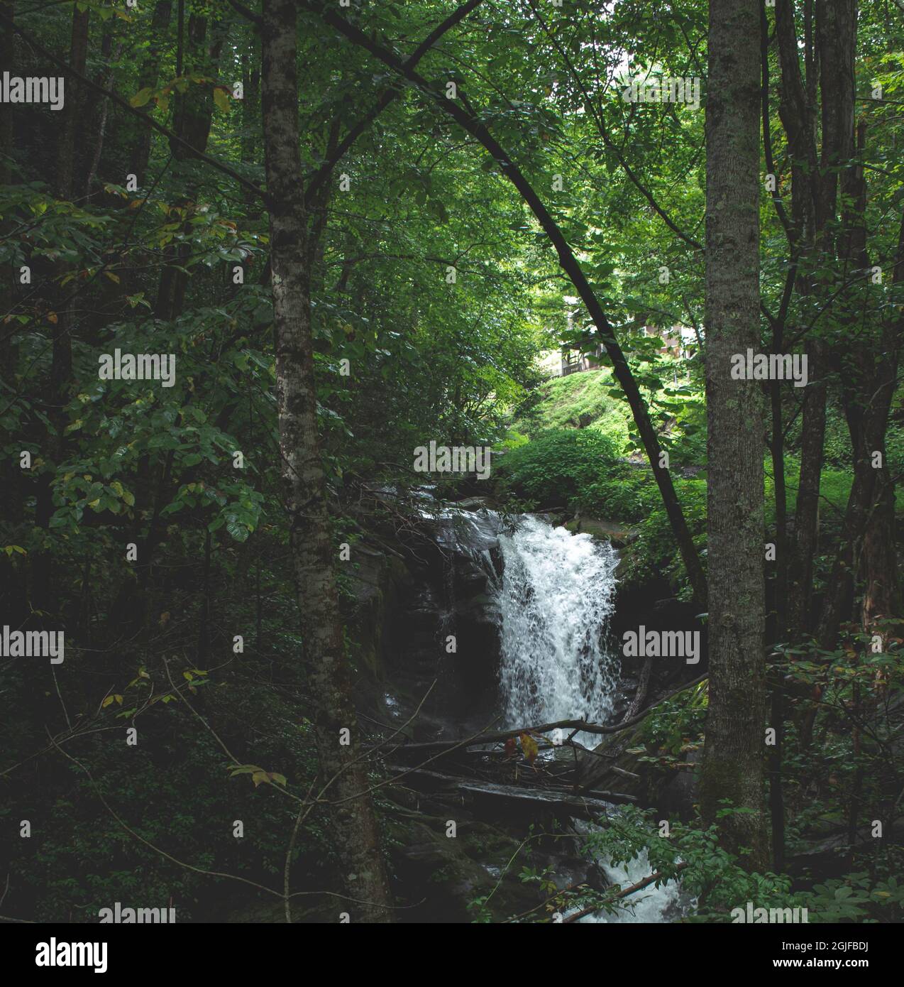 Scenic view of a waterfall in the forest Stock Photo - Alamy