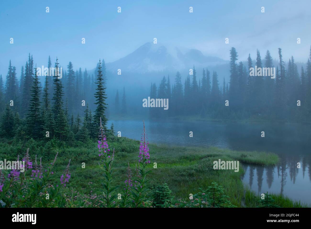 Mt. Rainier, morning fog, Reflection Lake, Mt. Rainier National Park ...