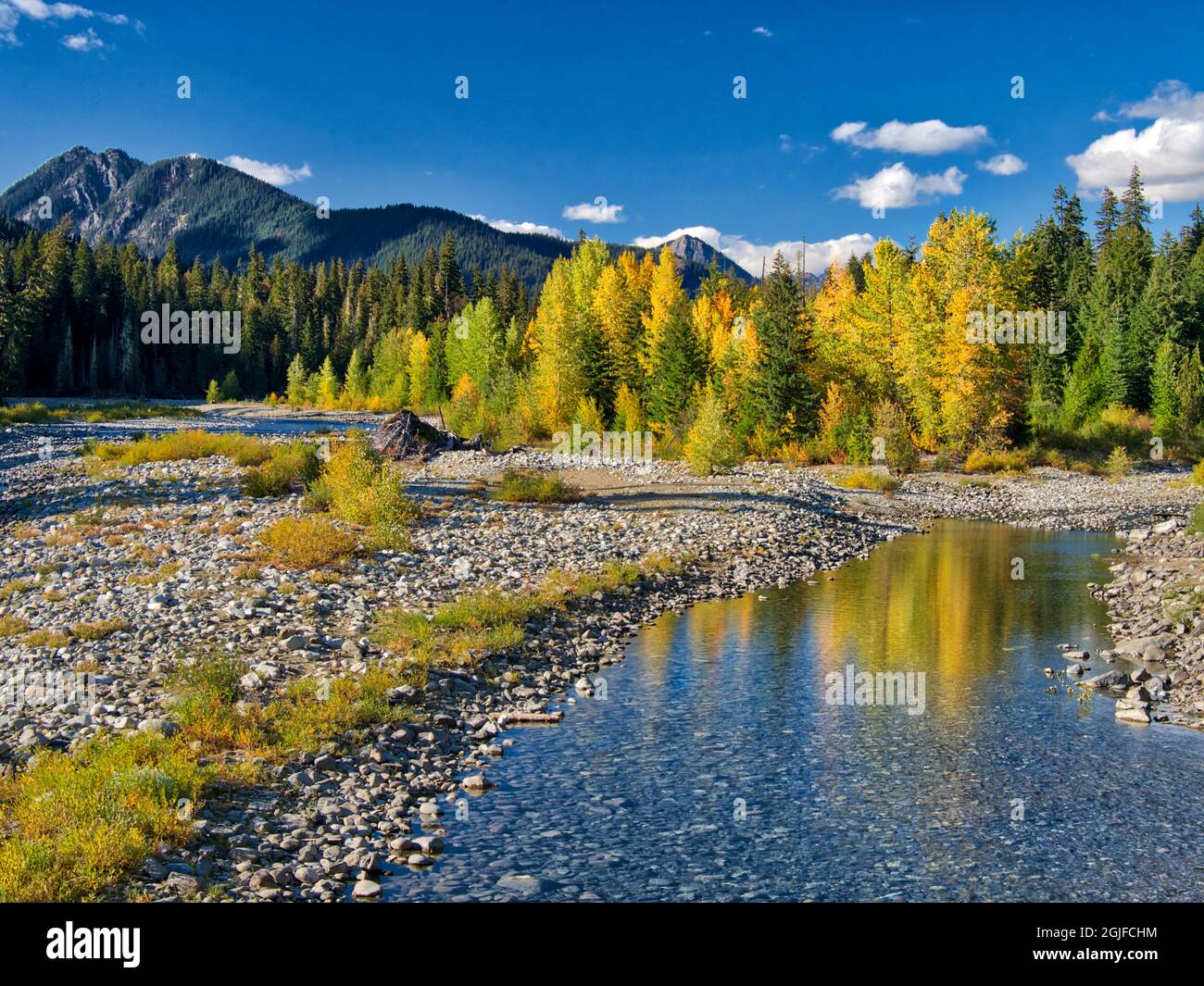 USA, Washington State, Cle Elum, Kittitas County. Autumn colors