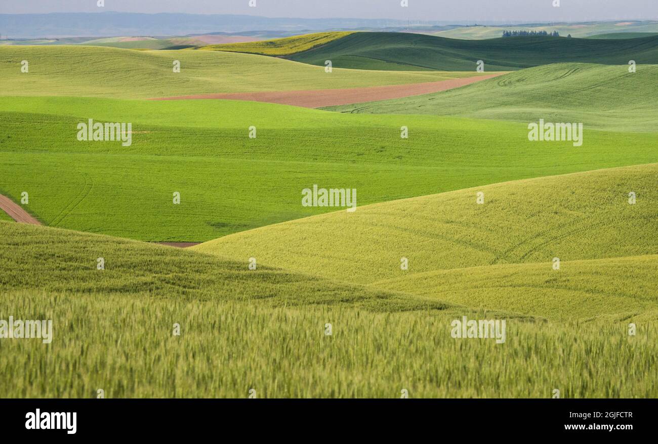 Layers of different colors in the Palouse region of Washington State ...