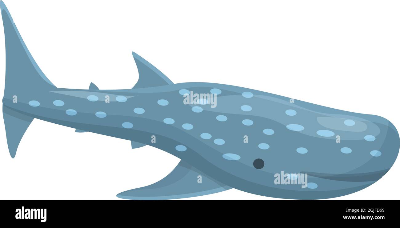 cartoon whale shark