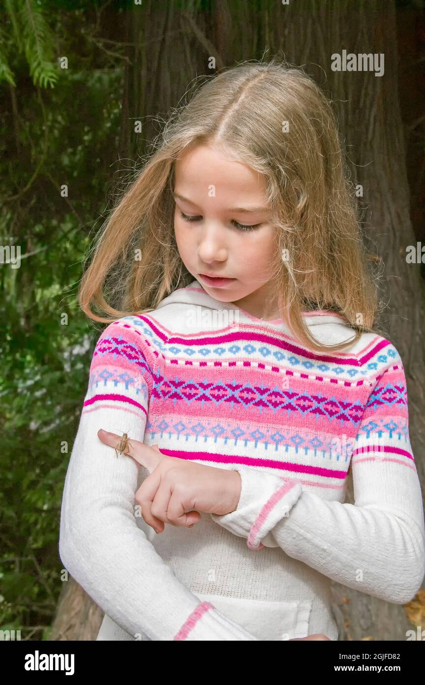 Issaquah, Washington, USA. House Cricket (Acheta domesticus) on a girl's finger. (MR) Stock Photo