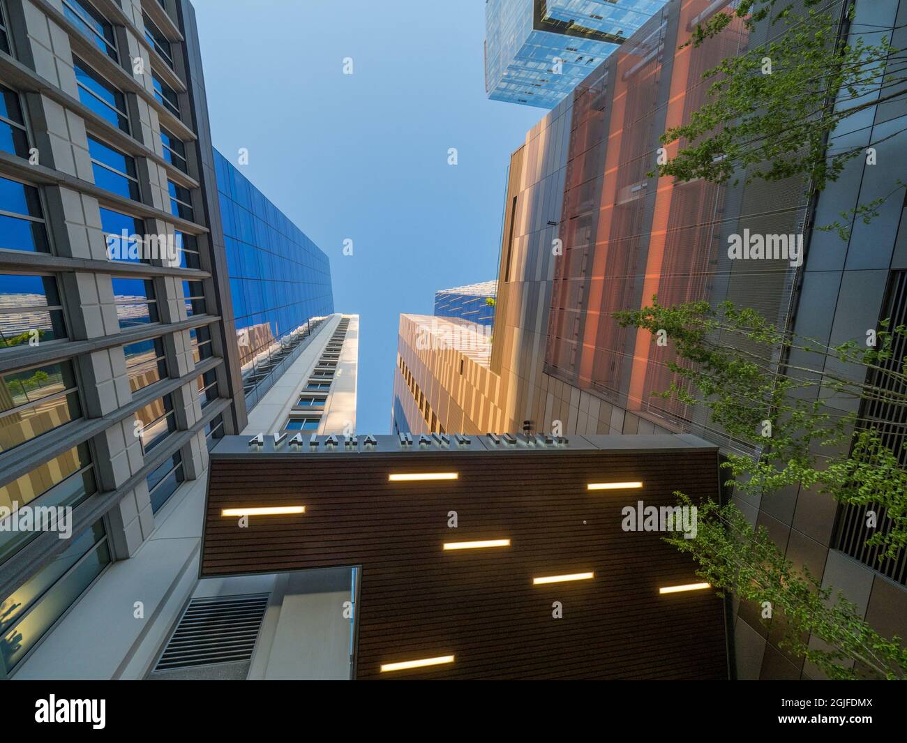 Usa, Washington State, Seattle, skyscraper towers viewed from below Stock Photo