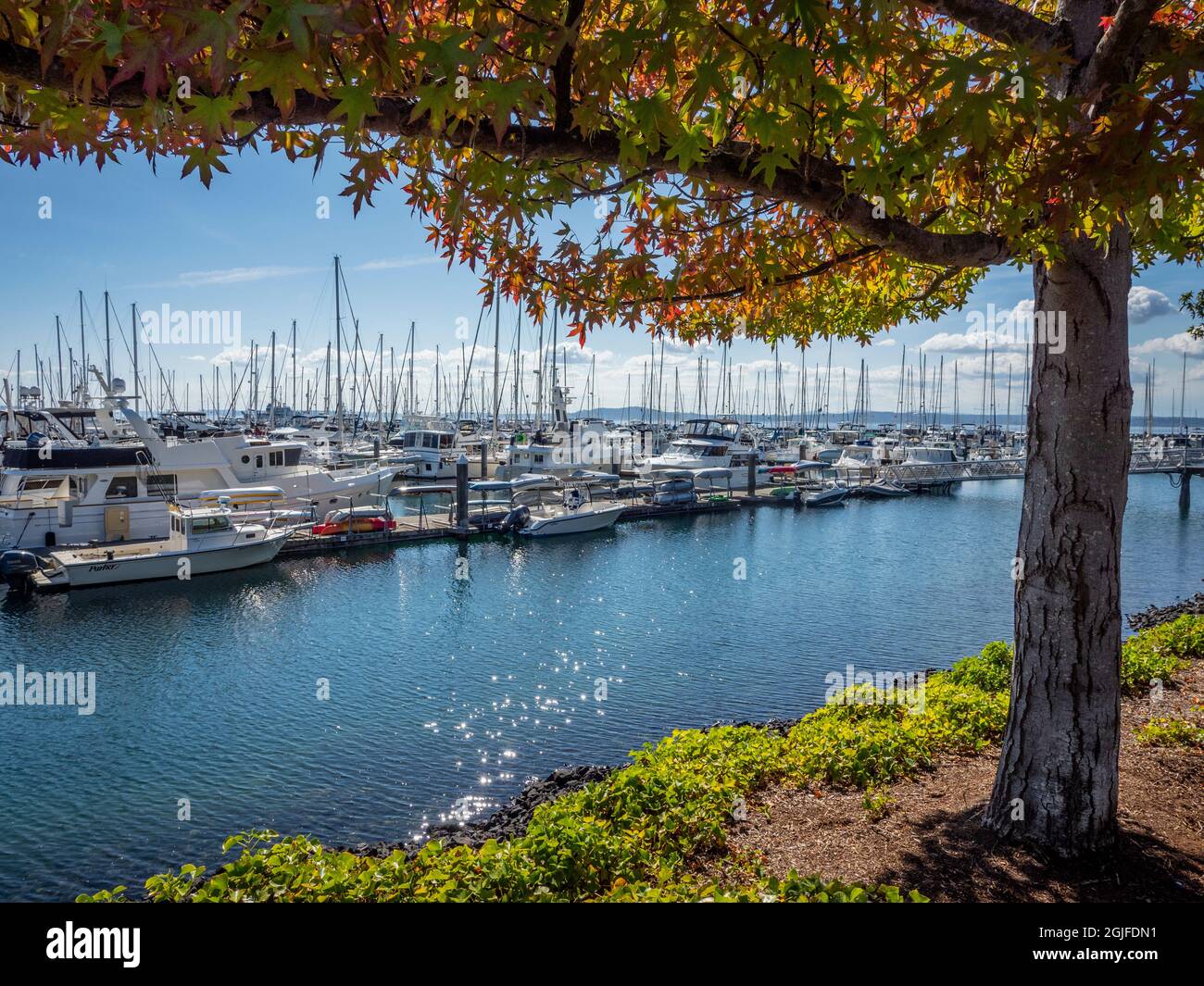 Seattle washington fall foliage hi-res stock photography and images - Alamy