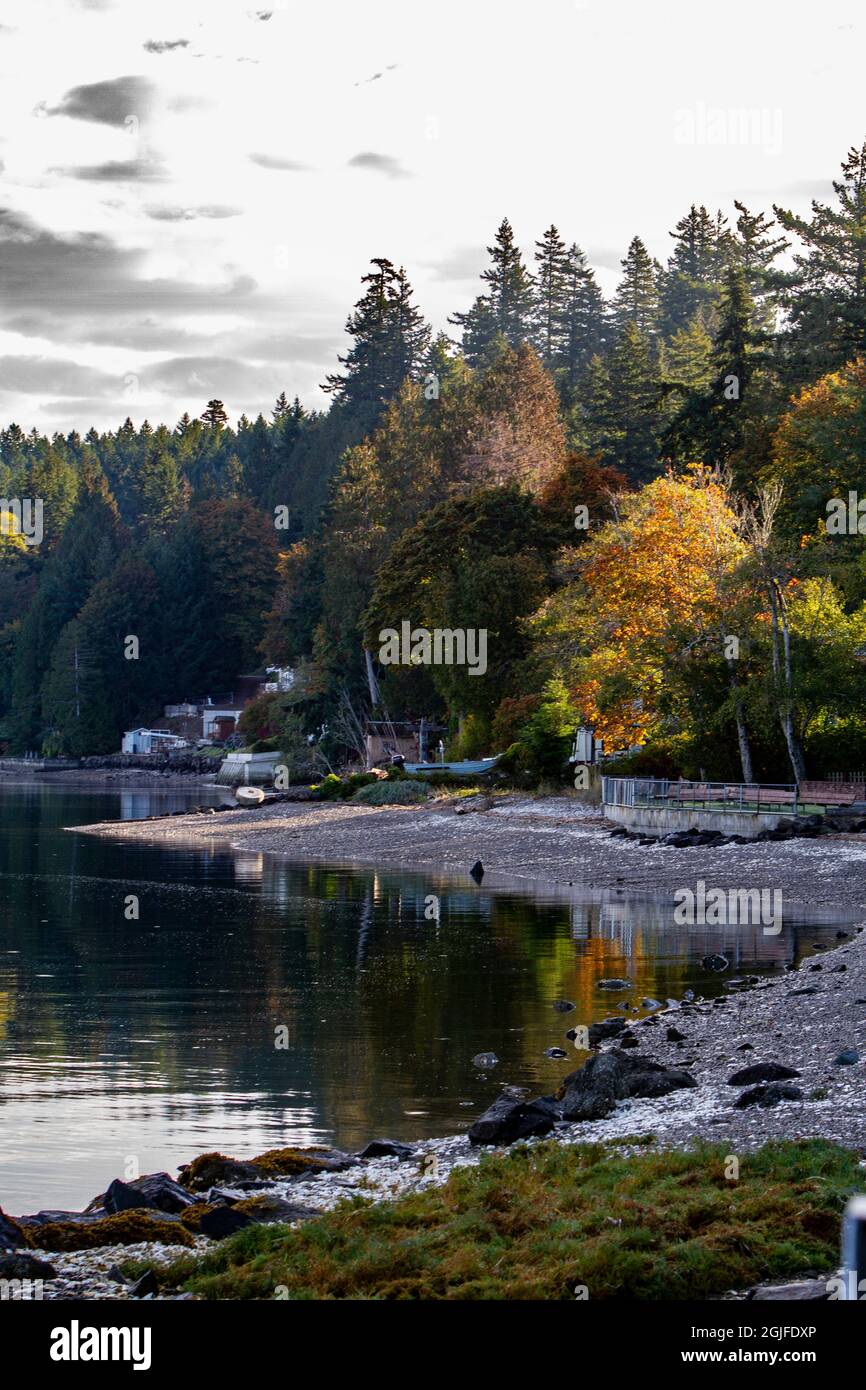 USA, Washington State, Seabeck. Hood Canal waterfront with Autumn