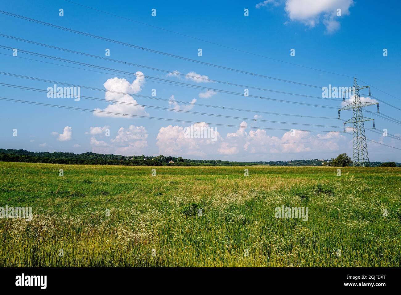 A high-voltage line stretches across a beautiful summer cultural landscape. Stock Photo