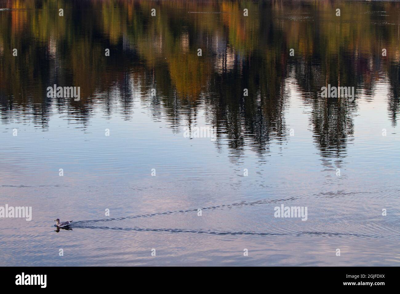 Dyes Inlet High Resolution Stock Photography and Images - Alamy