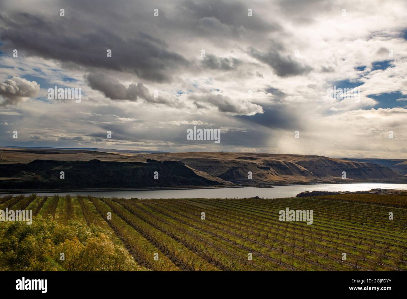 Columbia plateau washington hi-res stock photography and images - Alamy