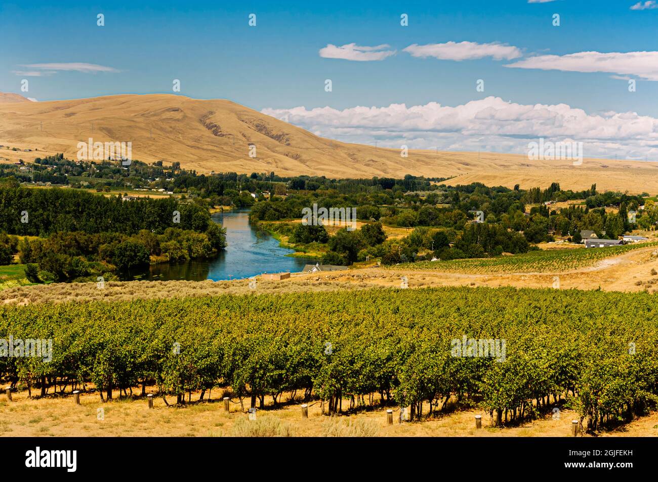 USA, Washington State, Red Mountain. Rattlesnake Mountain, the Yakima River and Artz Vineyard