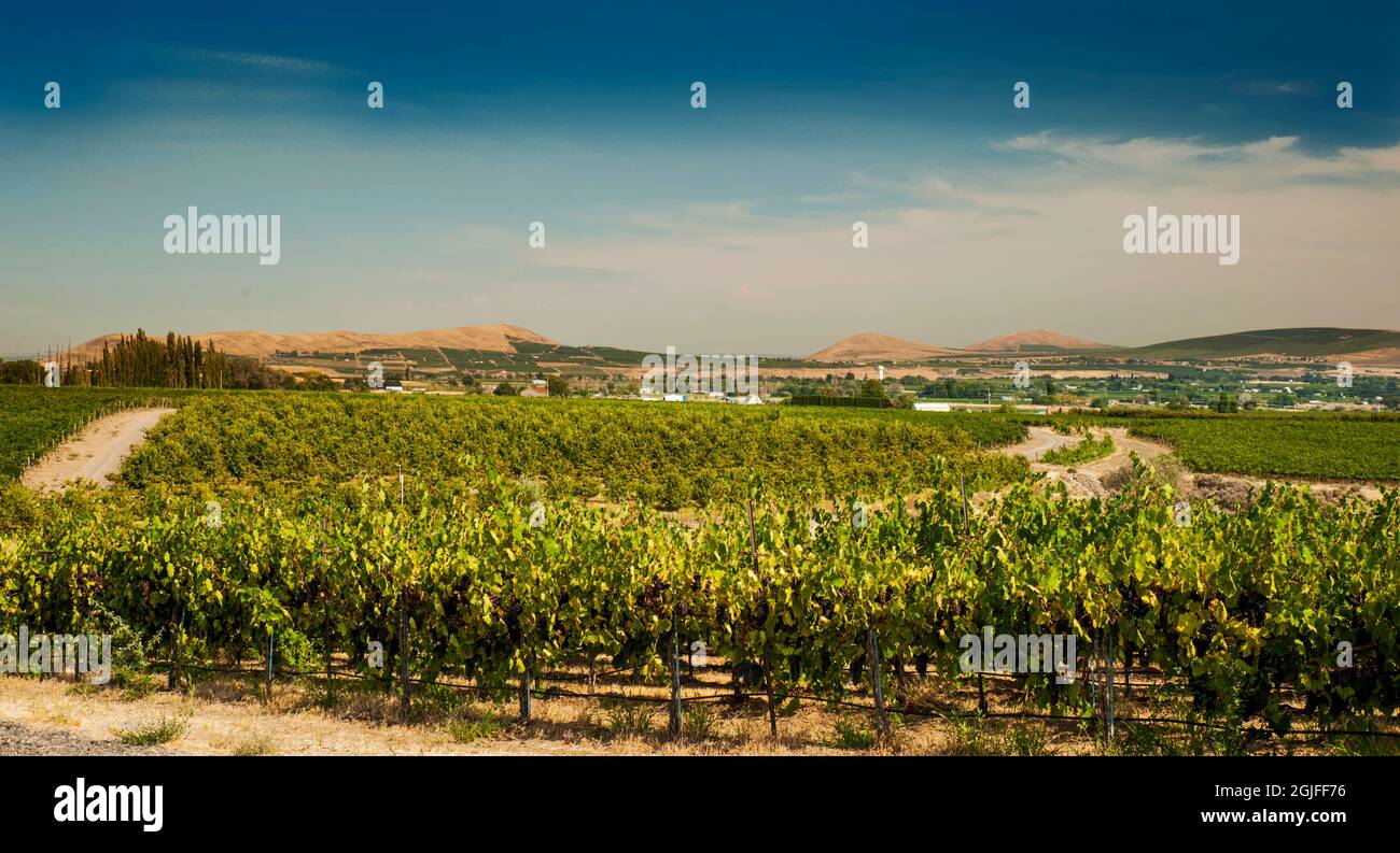 Lonesome spring ranch hi-res stock photography and images - Alamy