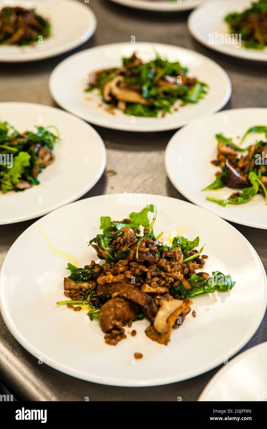 USA, Washington State, Red Mountain. Salads on plates at a winemaker dinner. Stock Photo