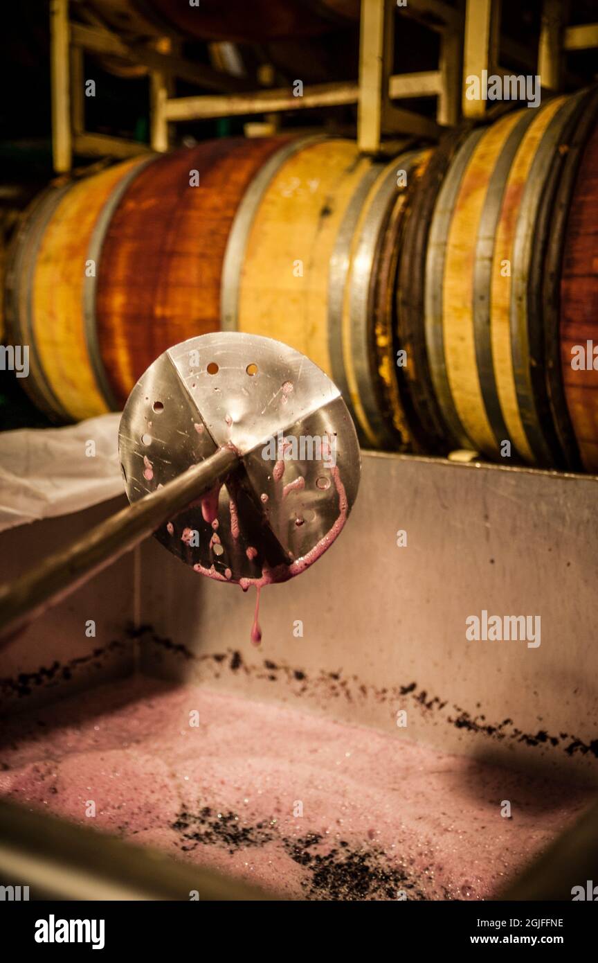 Punch down tool hires stock photography and images Alamy