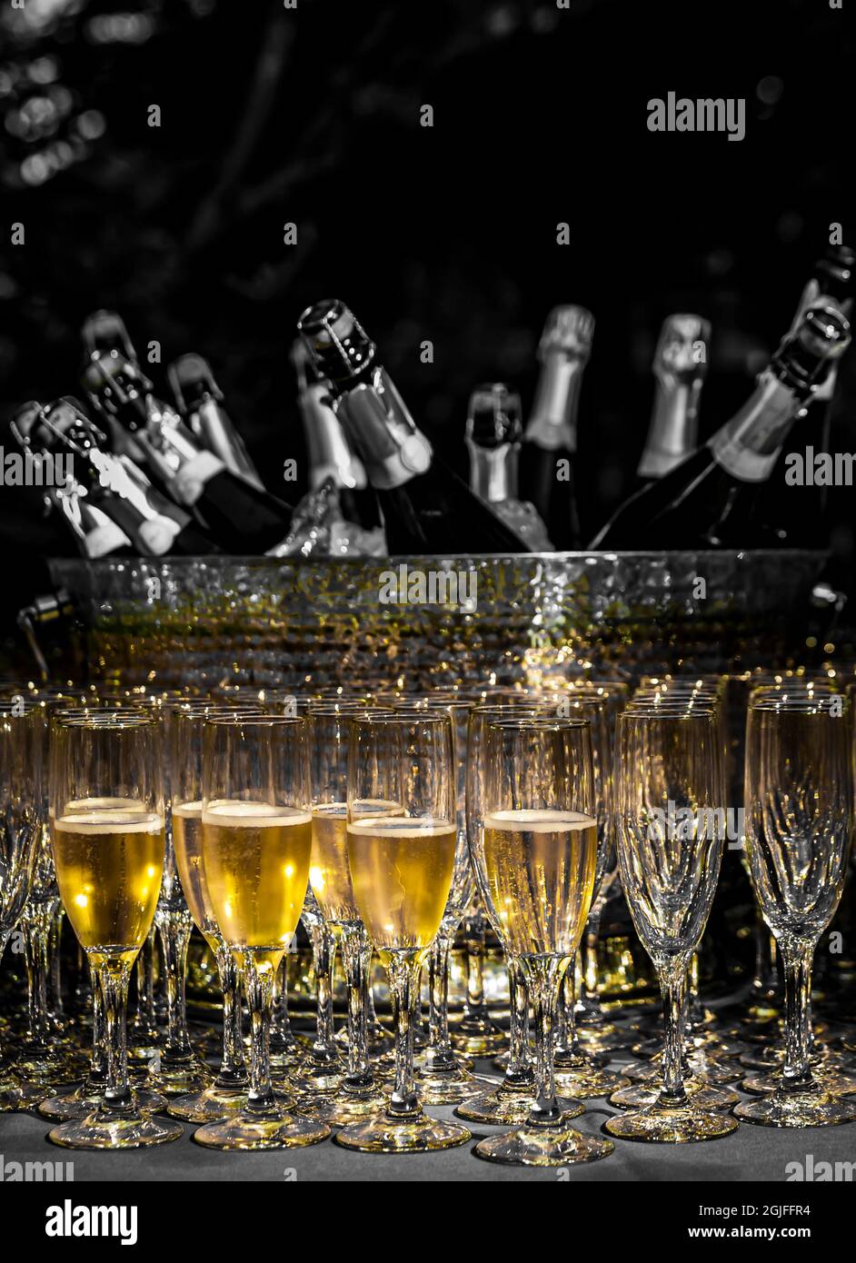 USA, Washington State, Woodinville. Sparkling wine bottles and glasses ready for tasting at a wine event. Stock Photo