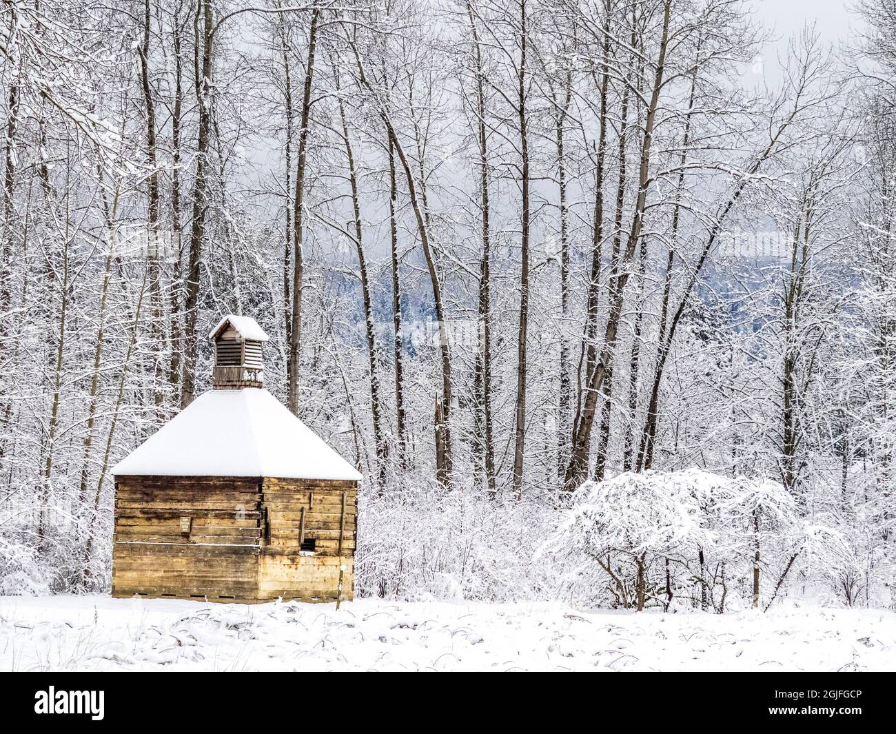 Snow Square Format USA, Washington State, Fall City, fresh snow in field with square ...