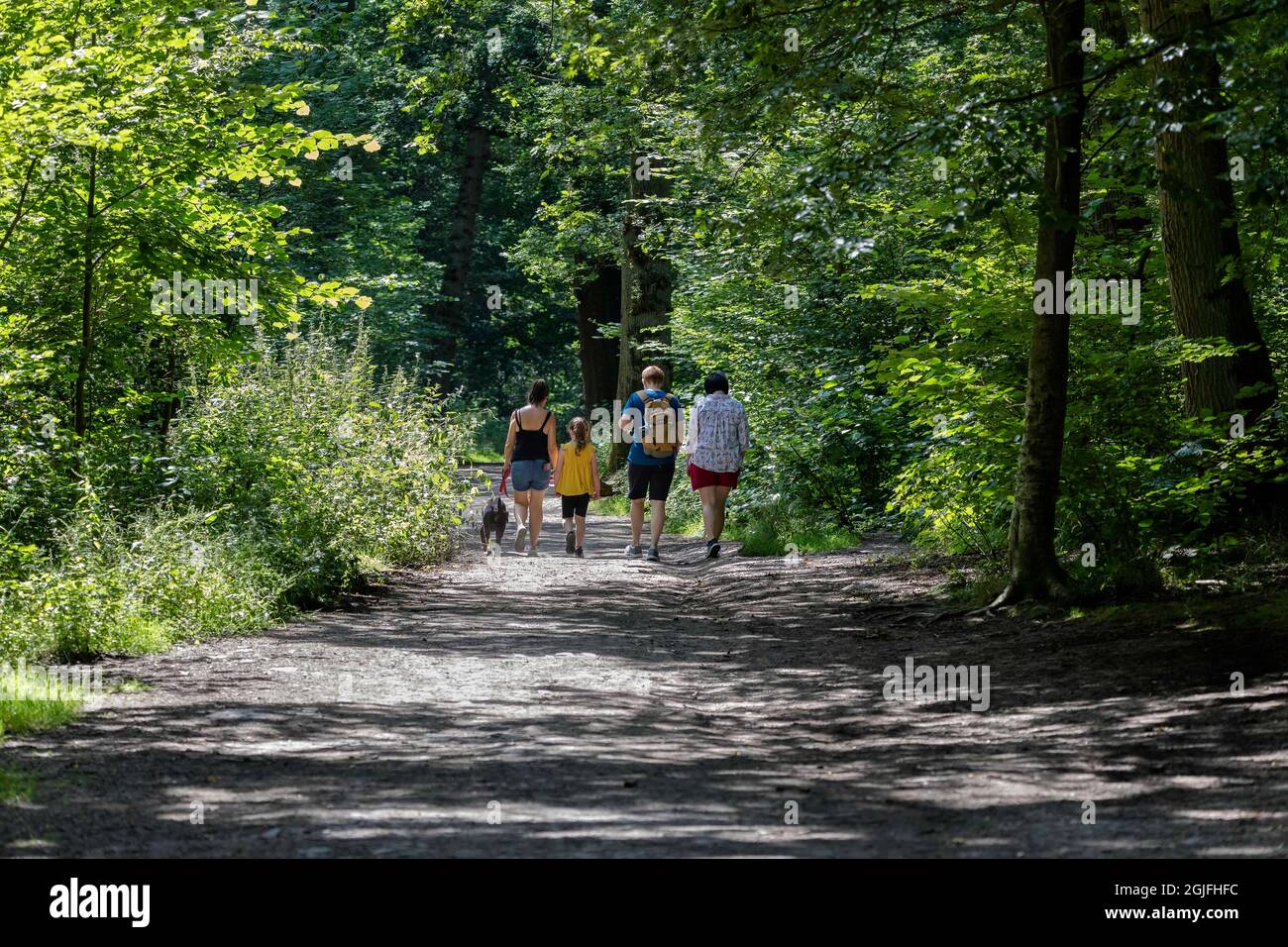 Family walking in the woods with a dog in Swithland Wood Leicester, Leicestershire, England UK Stock Photo