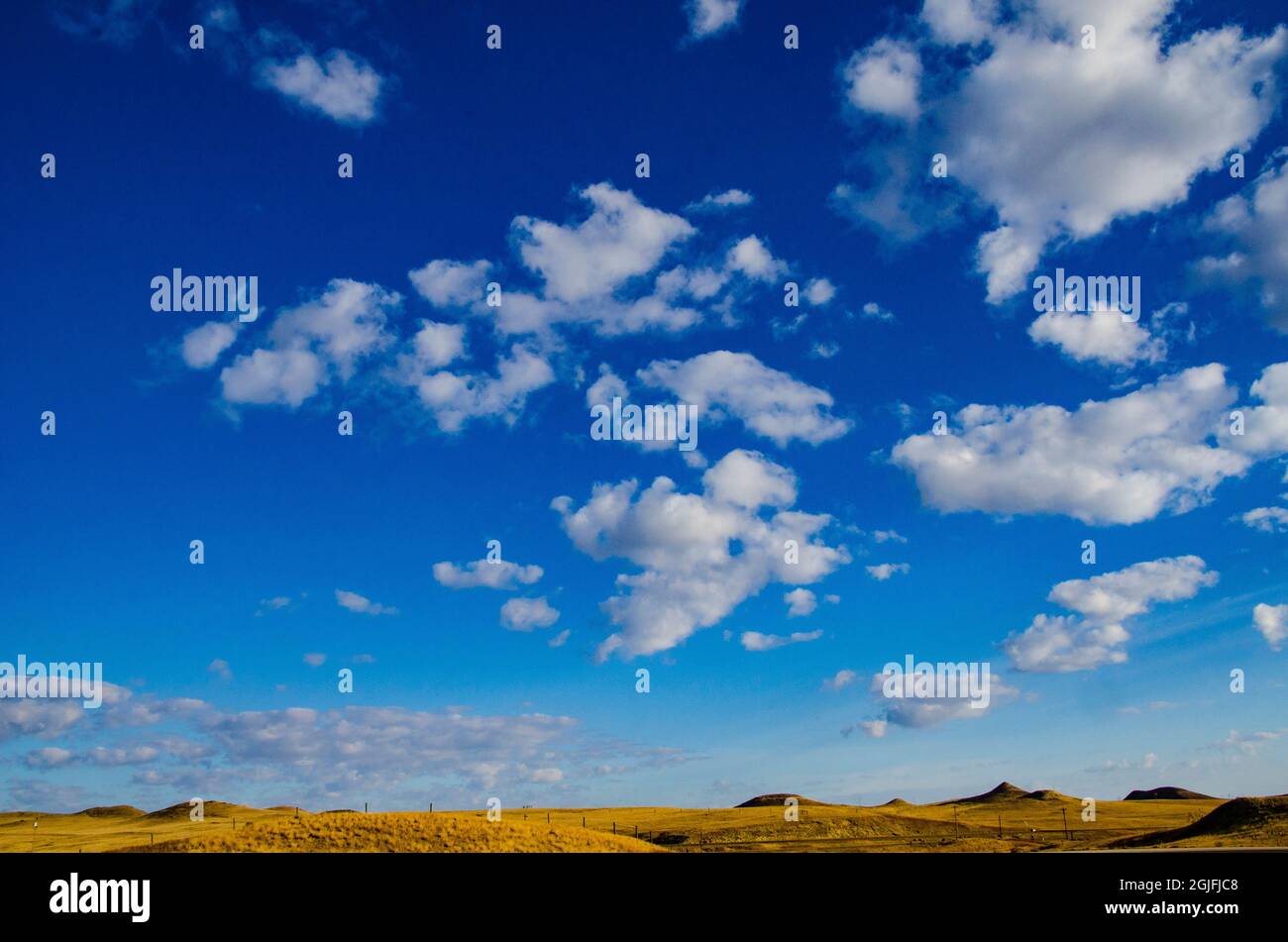 USA, Wyoming, Moorcroft Devil's Tower National Monument, clear blue sky