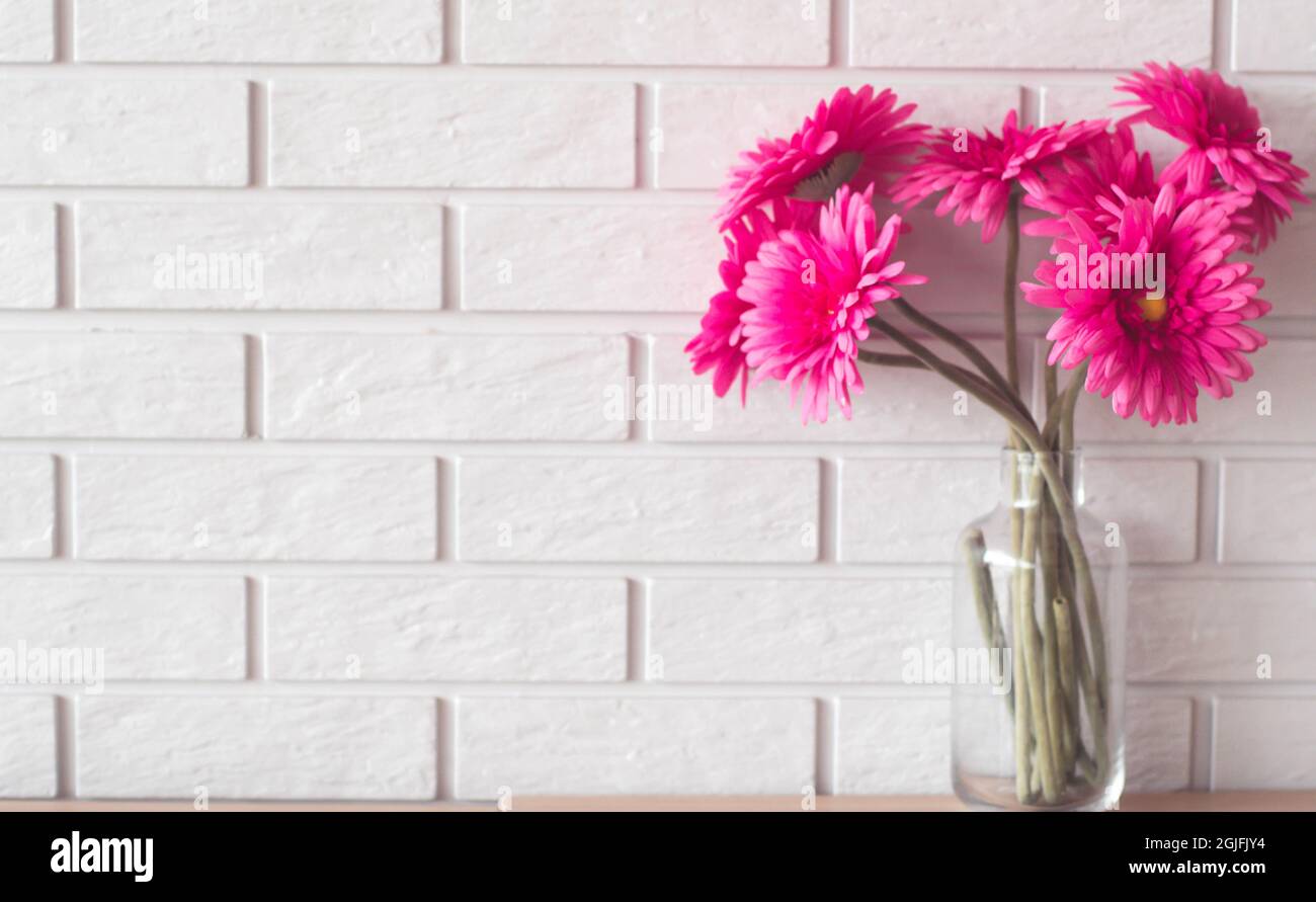 Pink Gerbera Daisies in Glass Vase on white brick wall texture  background with copy space. Stock Photo