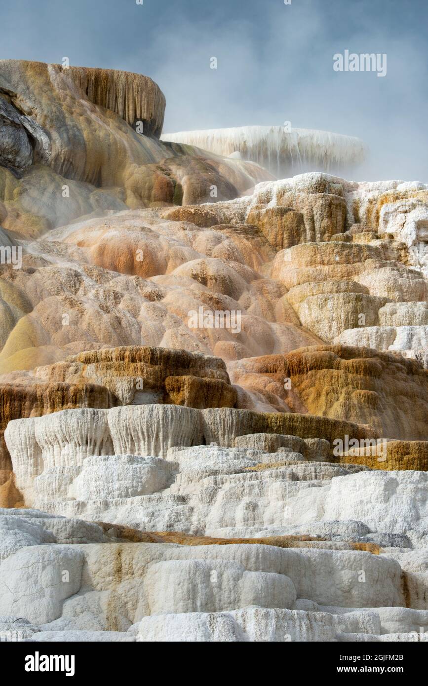 USA, Wyoming. Palette Springs, Mammoth Hot Springs, Yellowstone National Park. Stock Photo