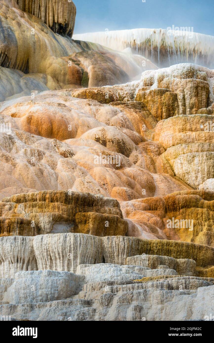 USA, Wyoming. Palette Springs, Mammoth Hot Springs, Yellowstone National Park. Stock Photo