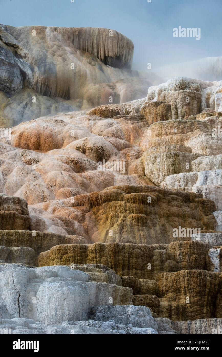 USA, Wyoming. Palette Springs, Mammoth Hot Springs, Yellowstone National Park. Stock Photo