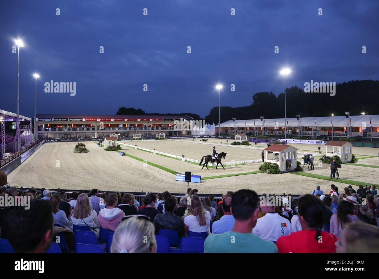 Hagen A.T.W., Germany. 09th Sep, 2021. Equestrian sport: European Championship, Dressage. Dressage rider Carl Hester (Great Britain) rides on En Vogue. Credit: Friso Gentsch/dpa/Alamy Live News Stock Photo