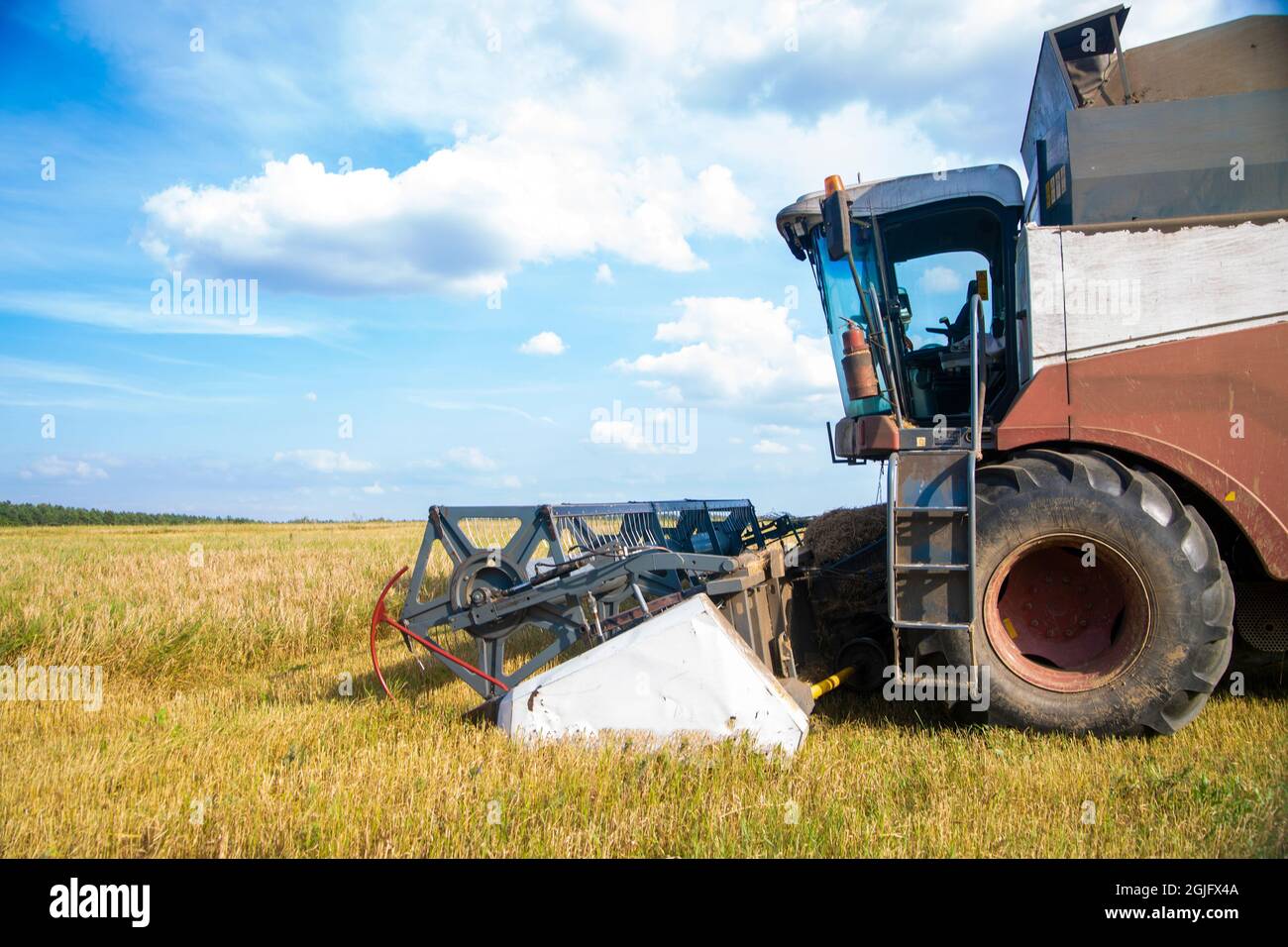 Combine harvester harvesting wheat field summer day. side view Stock ...