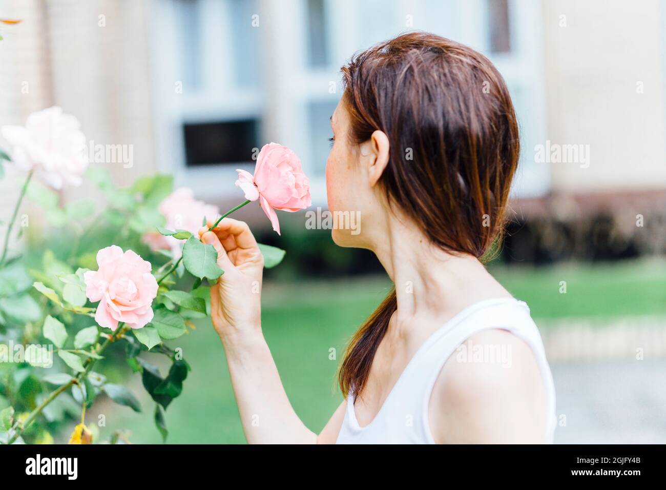 Woman smelling rose petals hi-res stock photography and images - Alamy