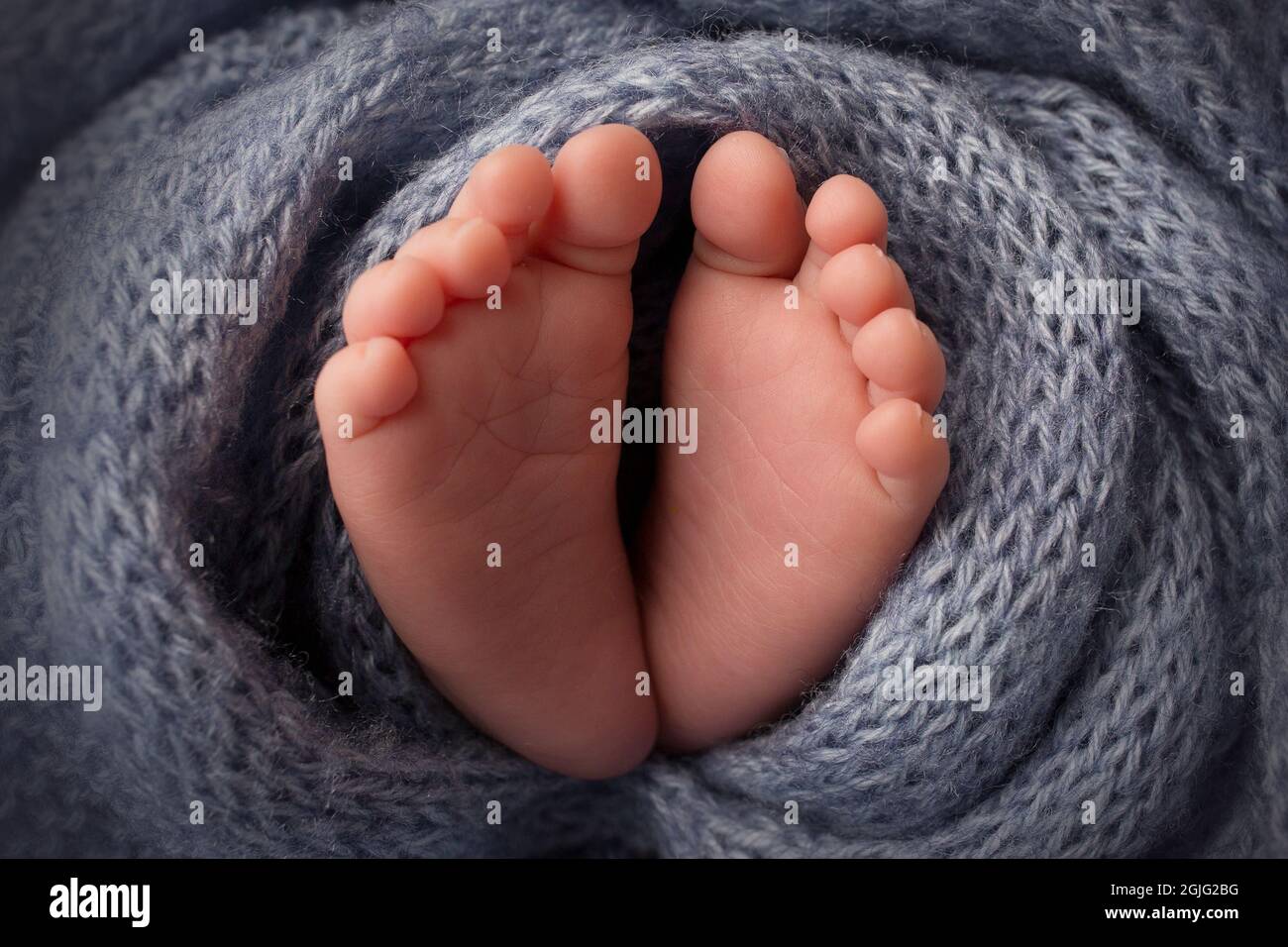 Plump Toes
