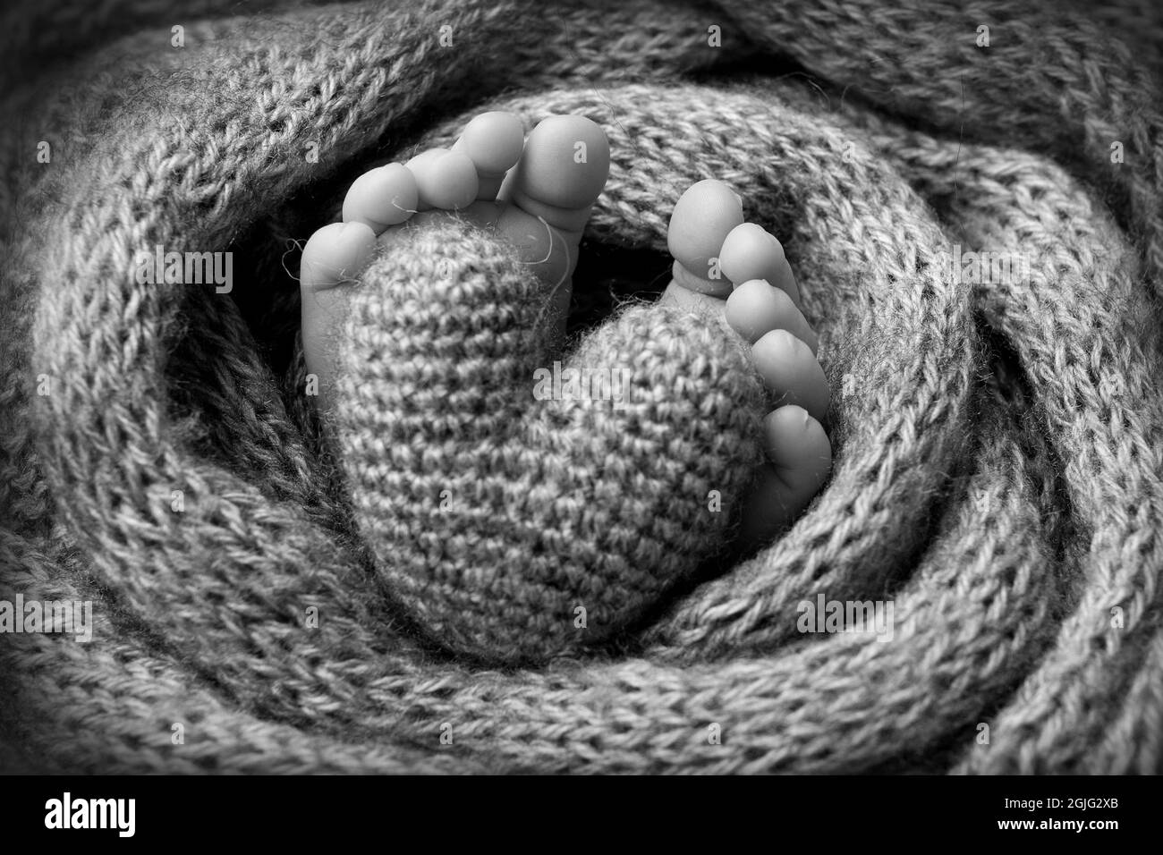 legs of a newborn baby, soft knitted blanket gray white heart, black and white studio photography. Stock Photo