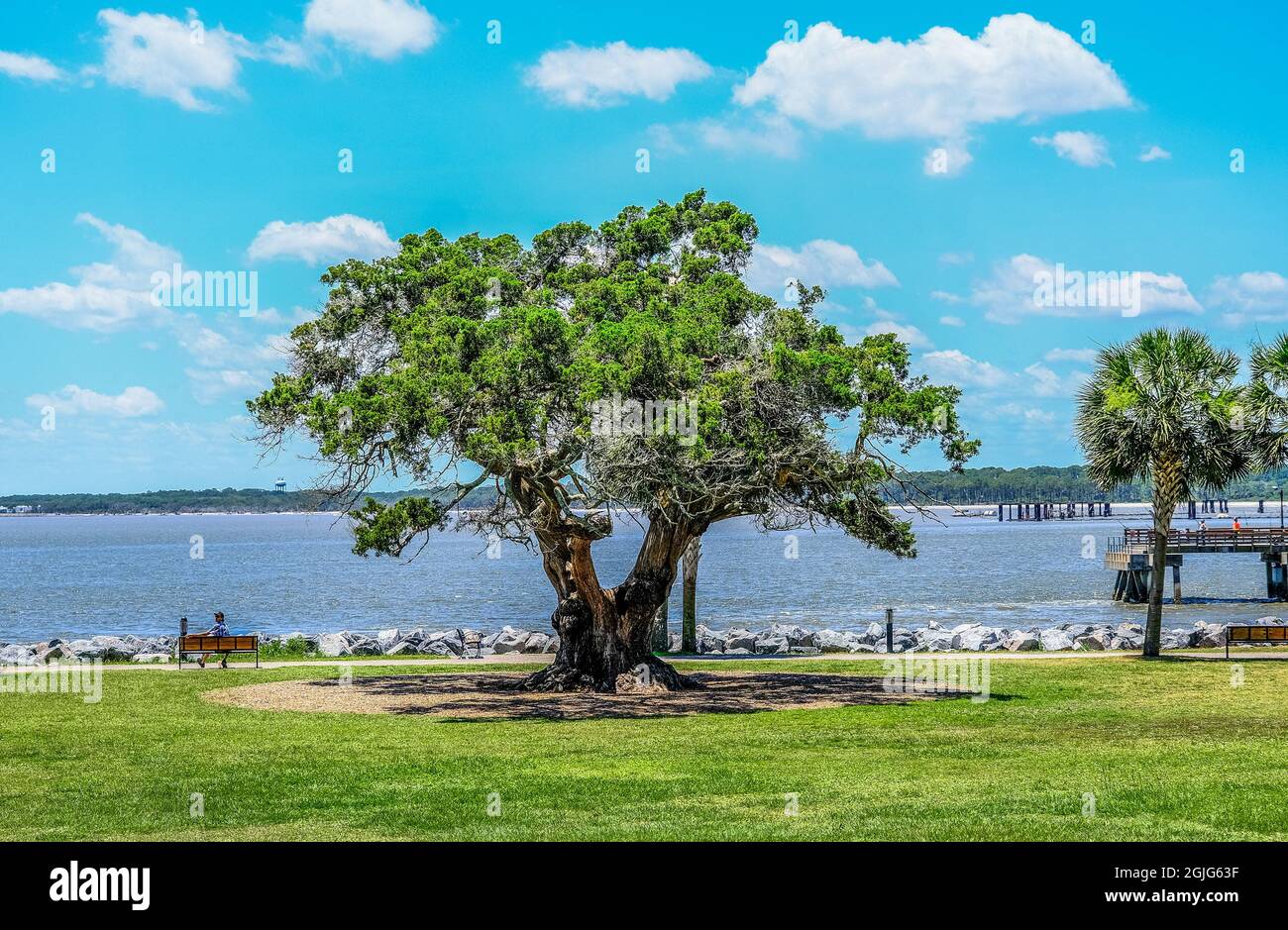Park in St Simons Village Stock Photo Alamy