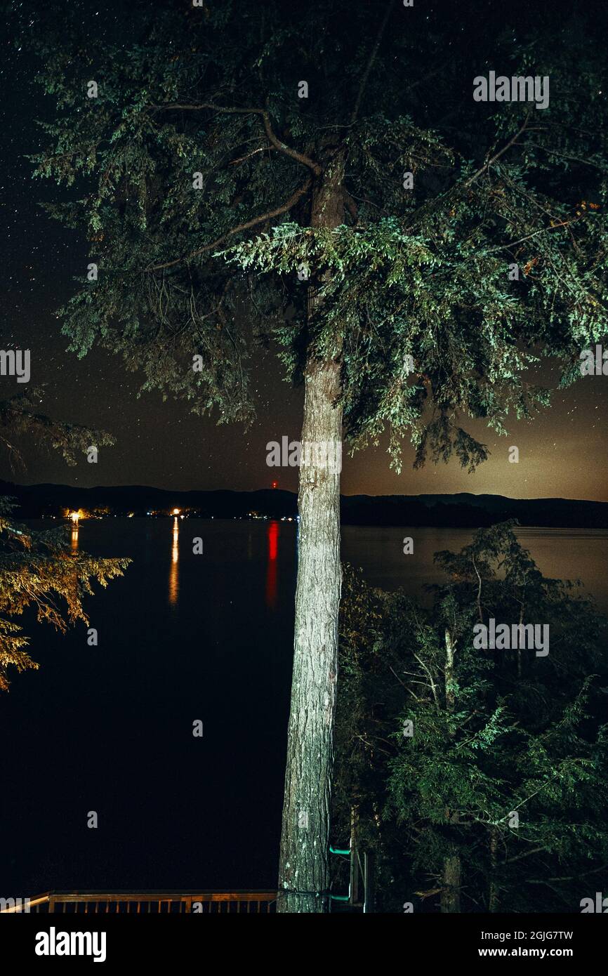 Lake Bomoseen Vermont evergreen trees with night starscape Stock Photo Alamy