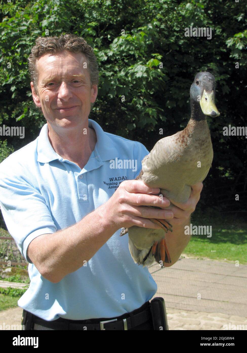 BILLY ELLIOT , FROM WORTHING AND DISTRICT ANIMAL RESCUE RETURNS CHARLIE