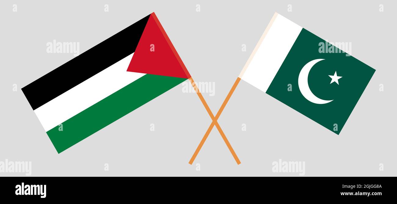 Crossed flags of Palestine and Pakistan Stock Vector